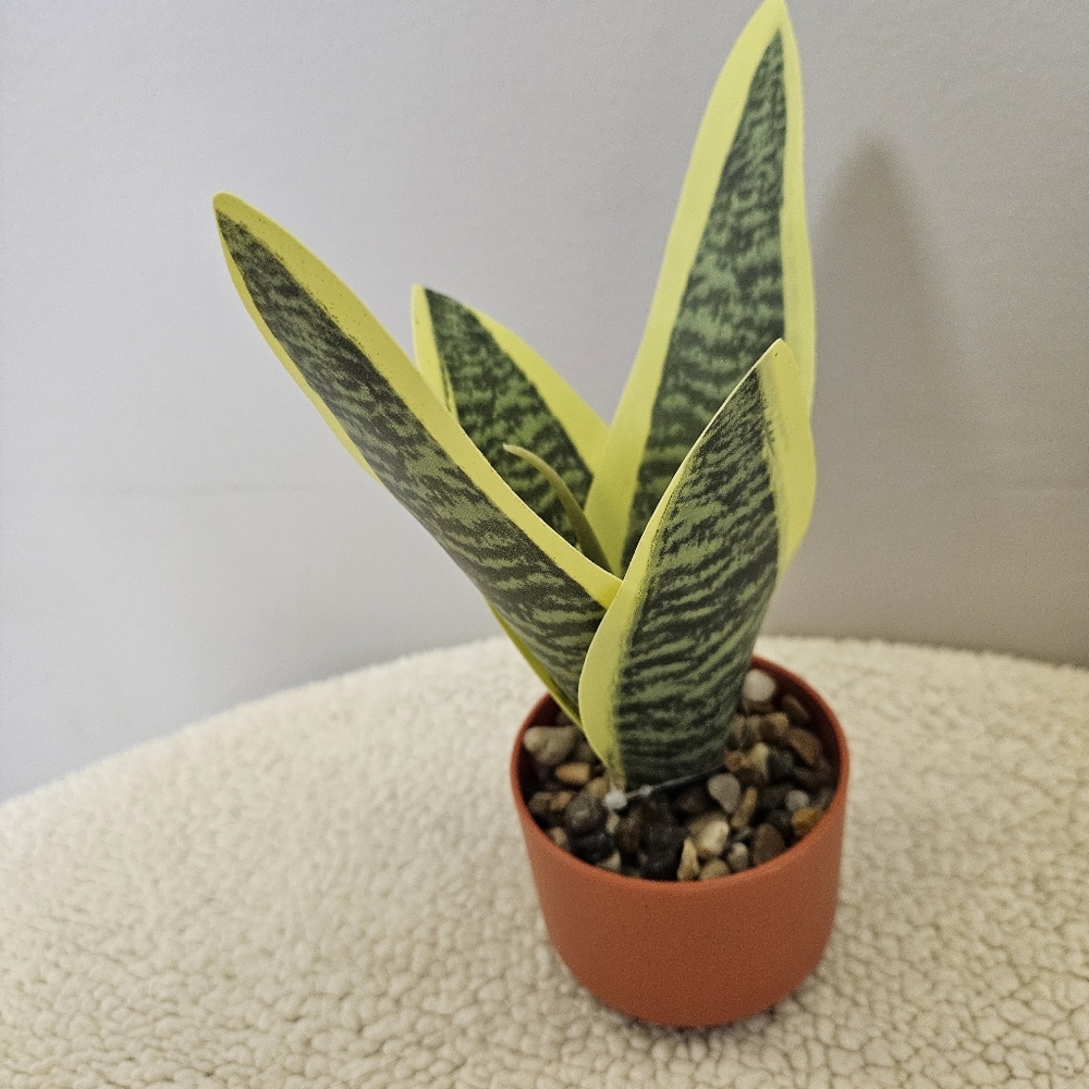 Green and Yellow Reptile Plant Decor - Picture 8 of 8